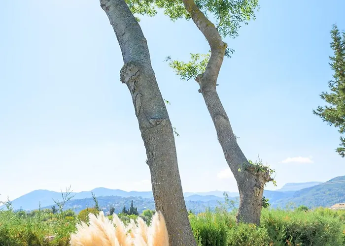 Bikini Apartamento Kariótai